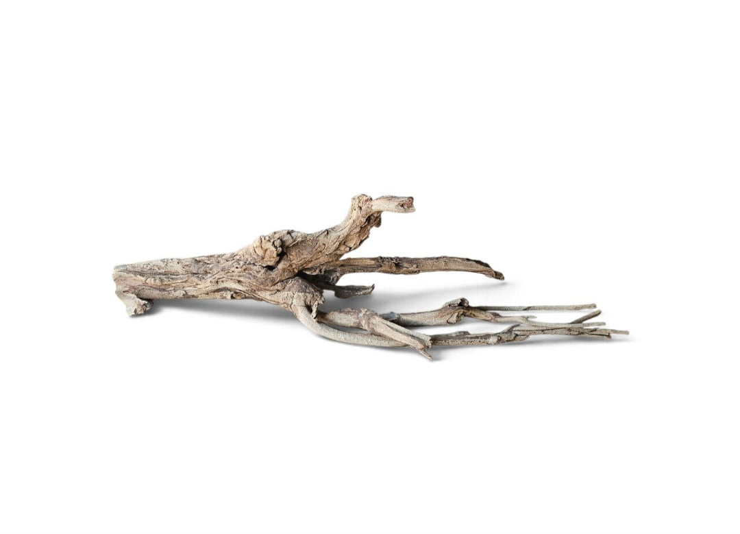 Talawa Holz / Wood 50-70 cm Nr. 775
