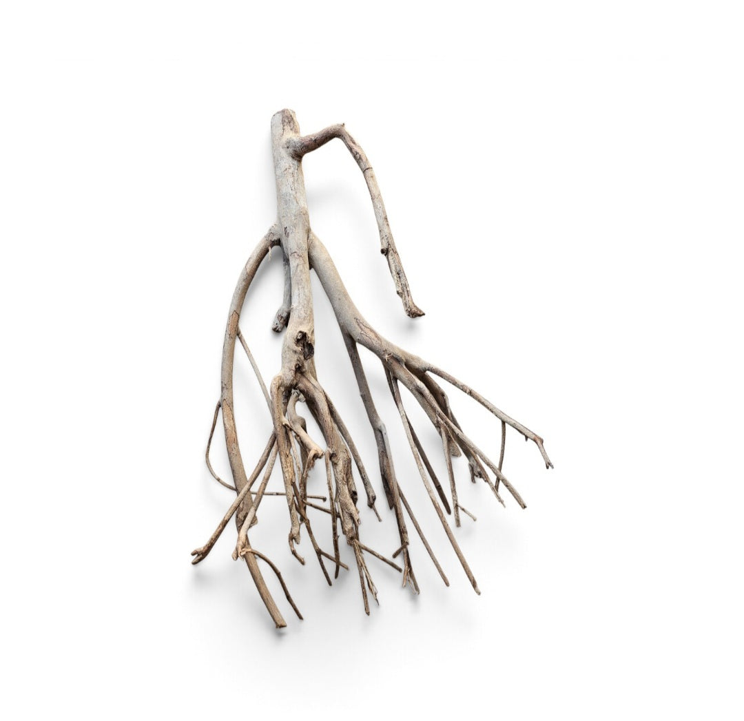 Talawa Holz / Wood 50-70 cm Nr.724