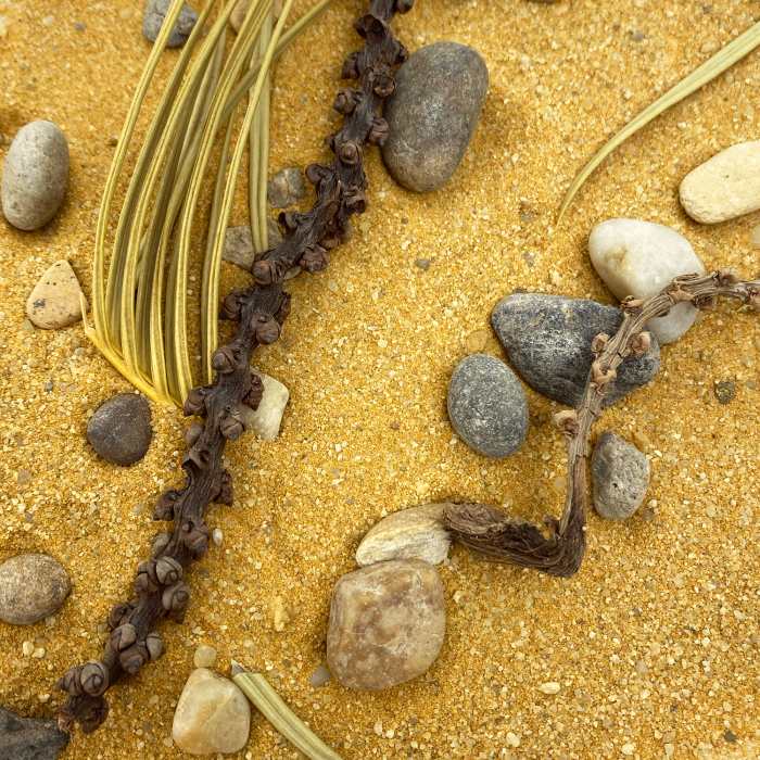 Me Nature World Habitat Delta (3kg)