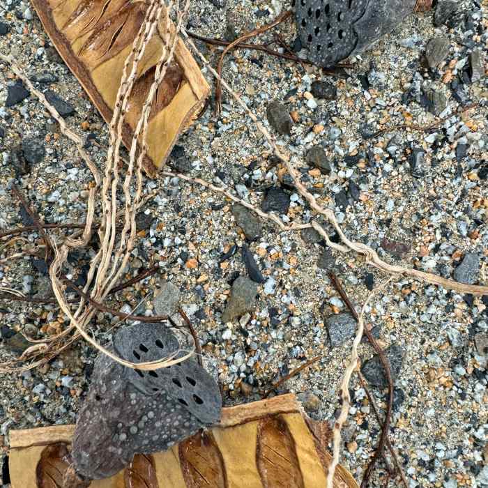 Me Nature World Habitat Marsh (3kg)