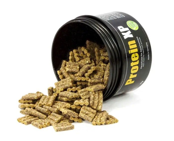 GlasGarten – Protein XP (35 g)