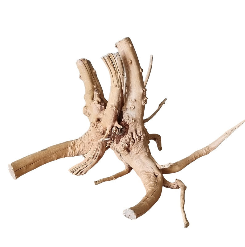 WIO Tree Trunk Wood Wurzel 332