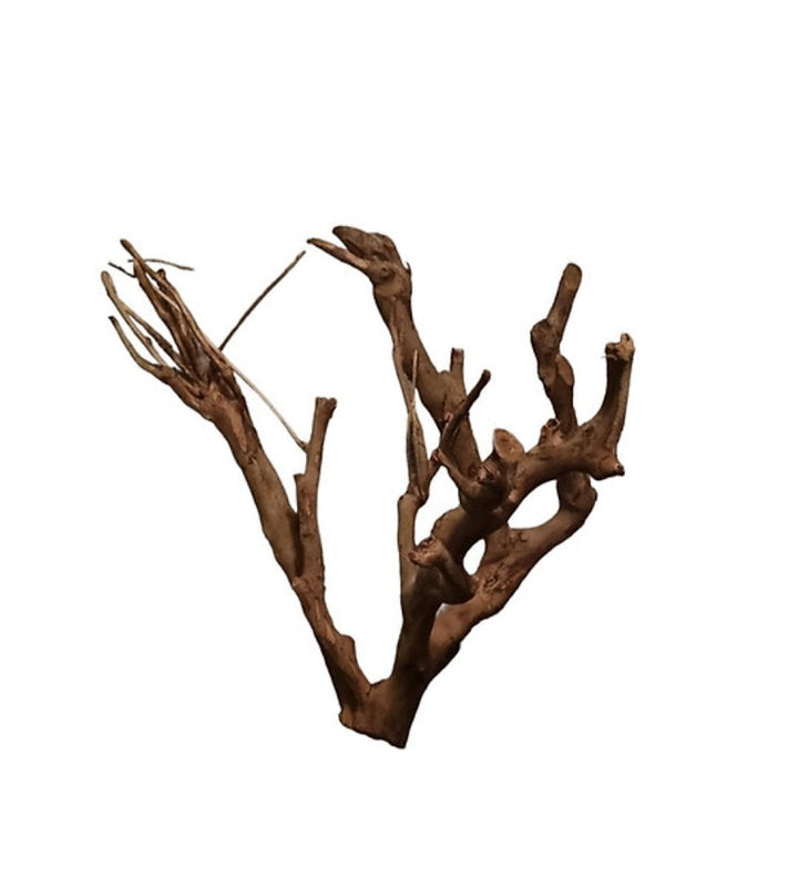 Talawa Holz / Wood 50-70 cm   Nr. 160