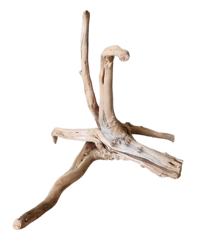 WIO Tree Trunk Wood Wurzel 334