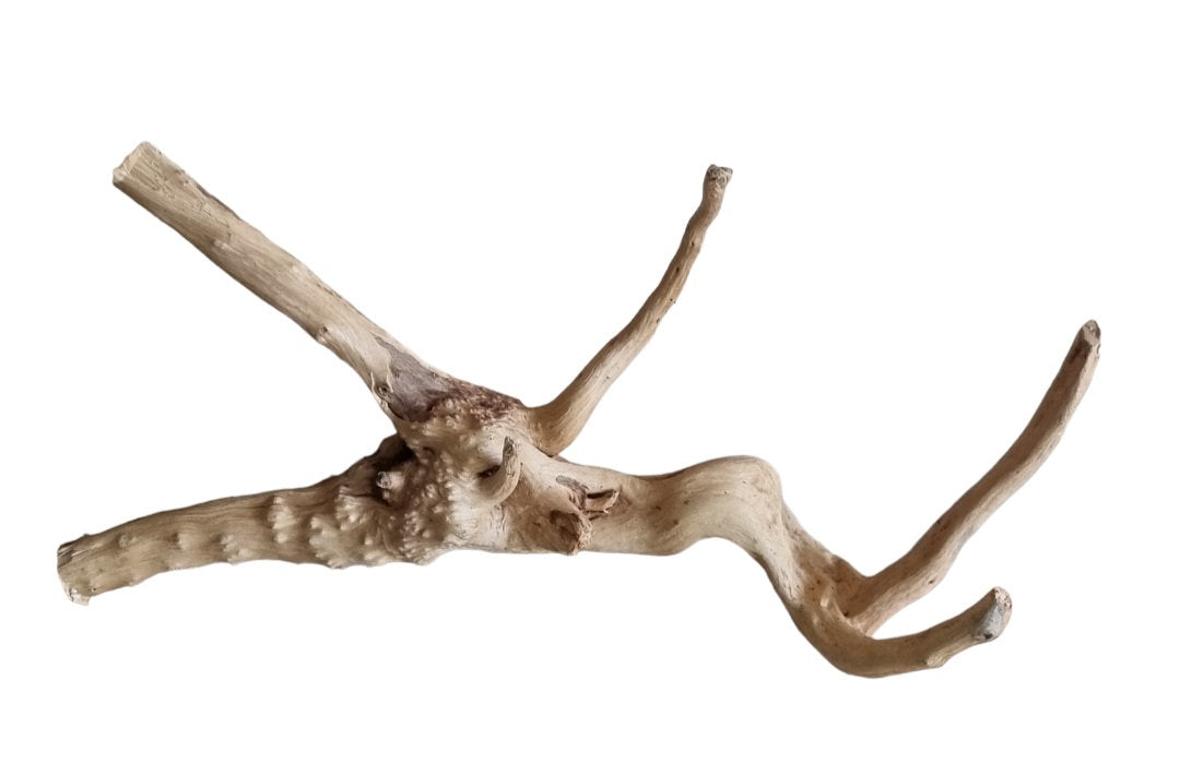 WIO Tree Trunk Wood Wurzel 366