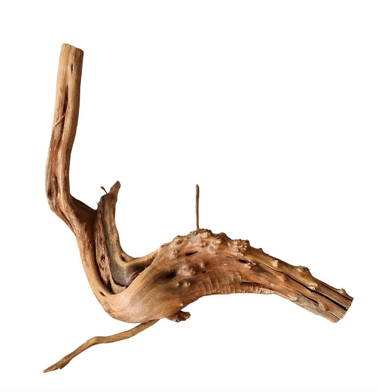 WIO Tree Trunk Wood Wurzel 296