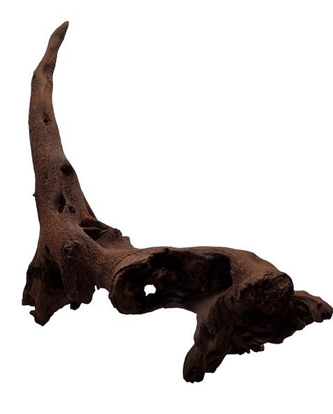 Mopani Wurzel Nr.40