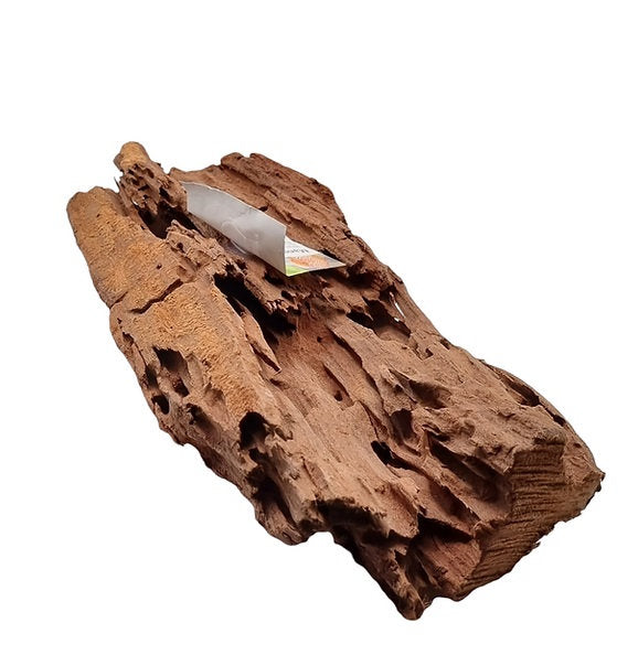 Mangrove Größe L / Nr.185