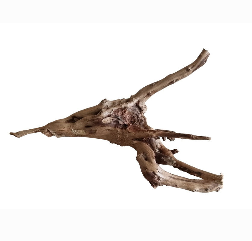 WIO Tree Trunk Wood Wurzel 353