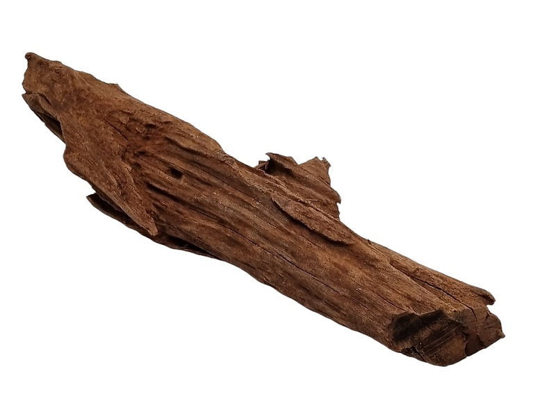 Mangrove Größe S / Nr.61