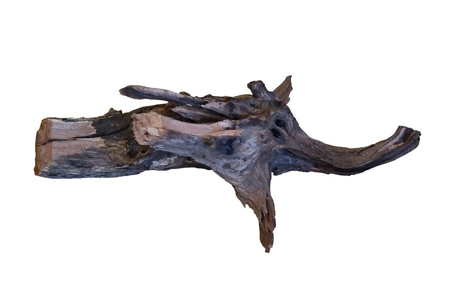 Driftwood / Flusswurzel Nr. 258