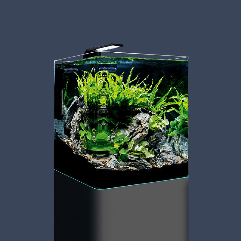 Dennerle Nano Cube Basic, 60 L Version 2022