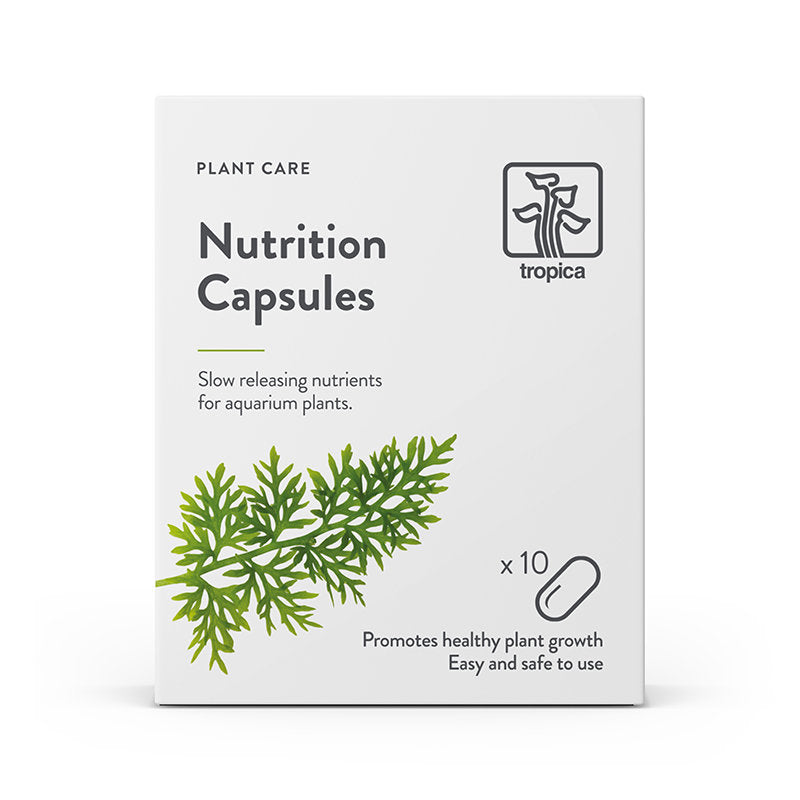 Tropica Nutrition Capsules (10 Stück) Düngerkapseln