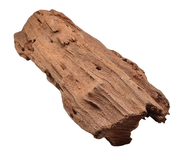 Mangrove Größe L / Nr.185