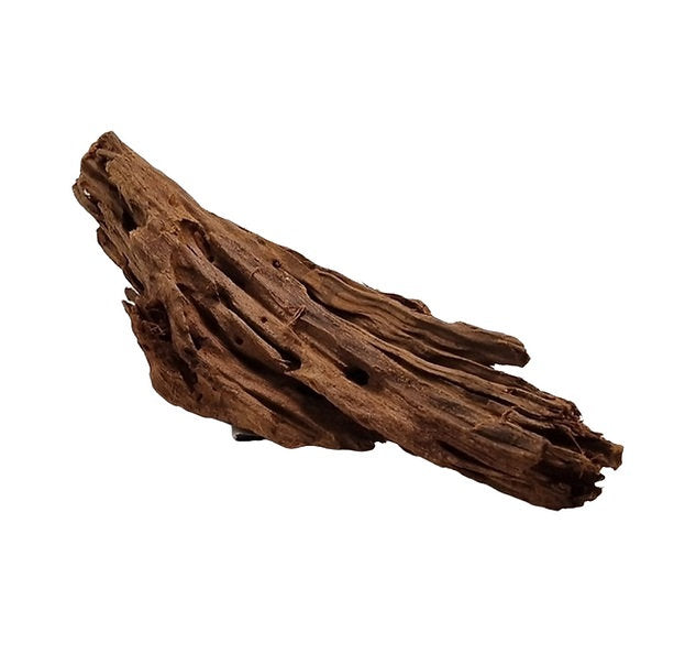 Mangrove Größe M / Nr.124