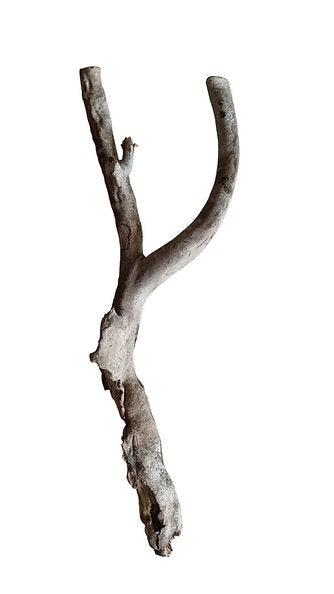 Talawa Wood Nr. 234