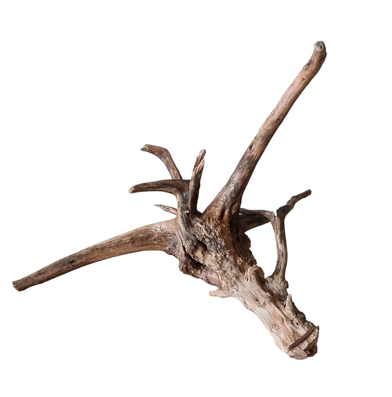 WIO Tree Trunk Wood Wurzel 333