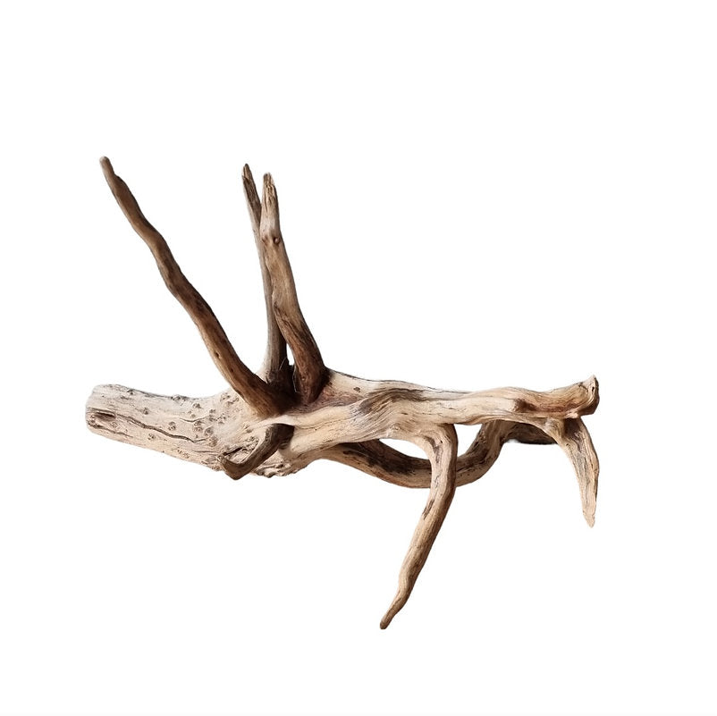 WIO Tree Trunk Wood Wurzel 311