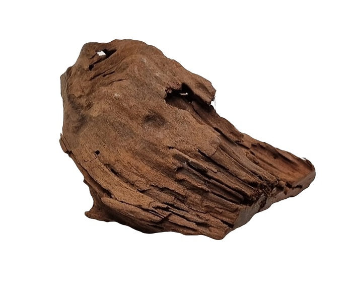 Mangrove Größe S / Nr.107