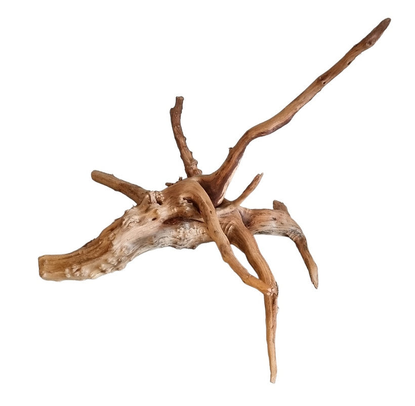 WIO Tree Trunk Wood Wurzel 348