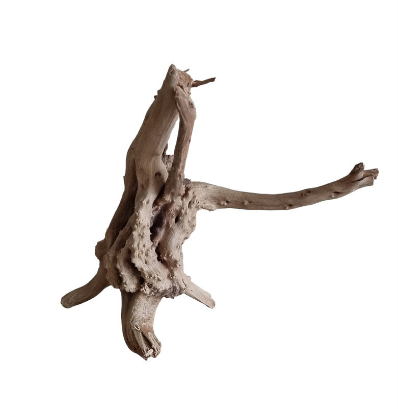 WIO Tree Trunk Wood Wurzel 309