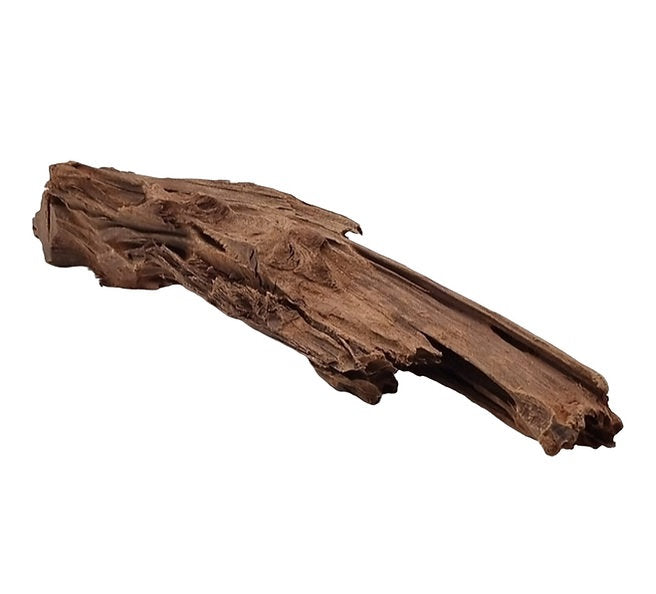 Mangrove Größe M / Nr.116