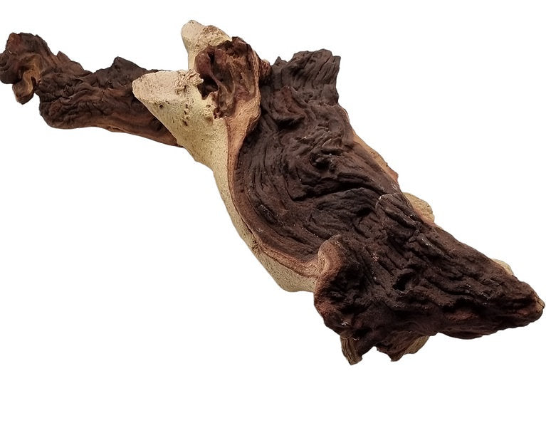 Mopani Wurzel Nr.33