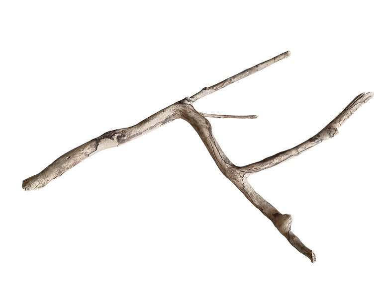 Talawa Wood Nr. 228