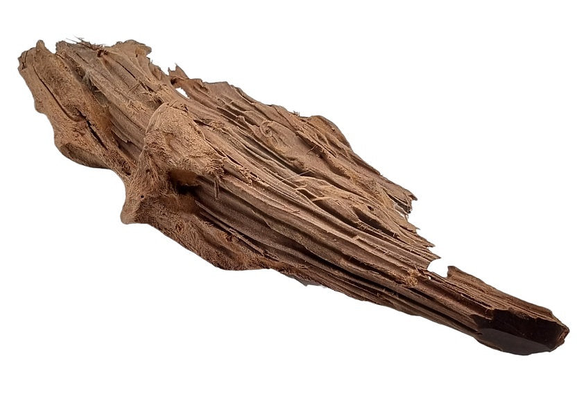 Mangrove Größe L / Nr.129