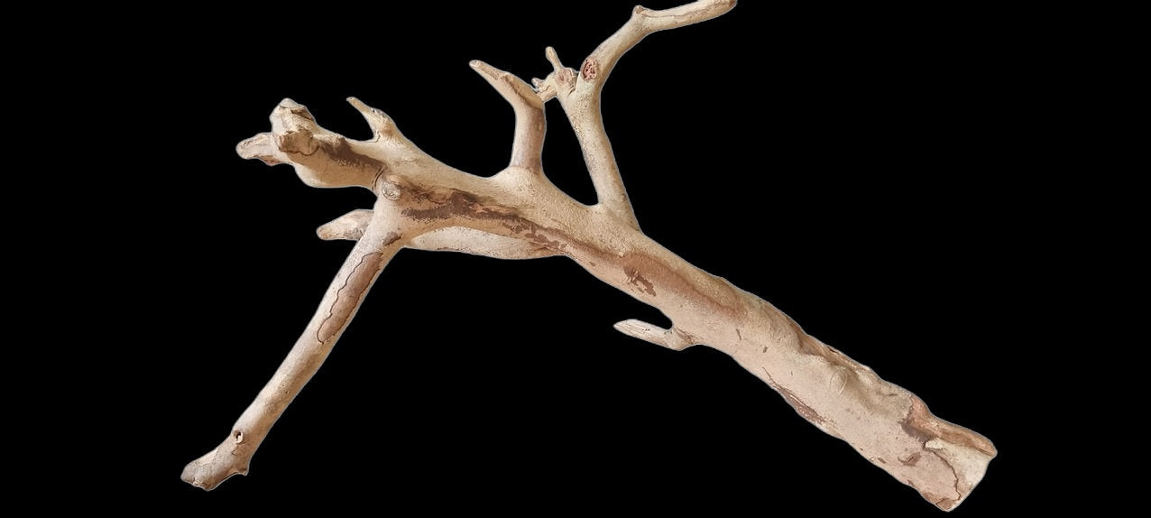 Talawa Holz / Wood 50-70 cm Nr. 161