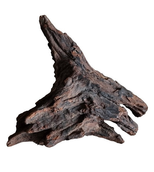 Driftwood / Flusswurzel Nr. 270