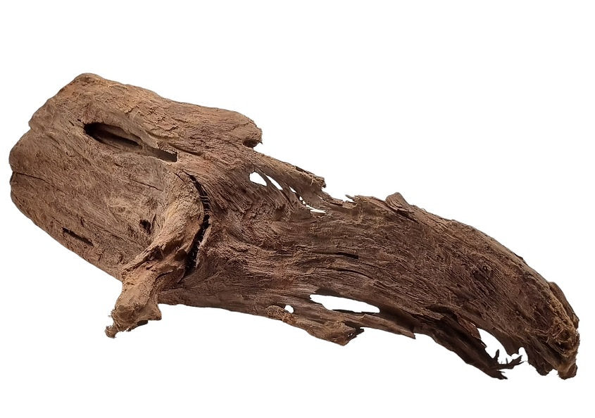 Mangrove Größe L / Nr.90