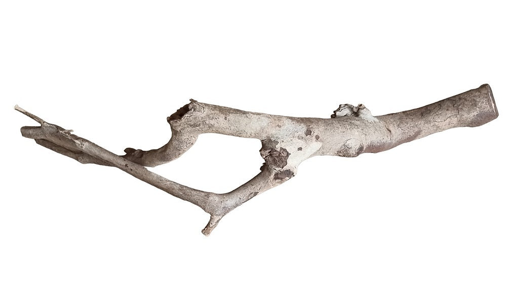 Talawa Wood Nr. 241