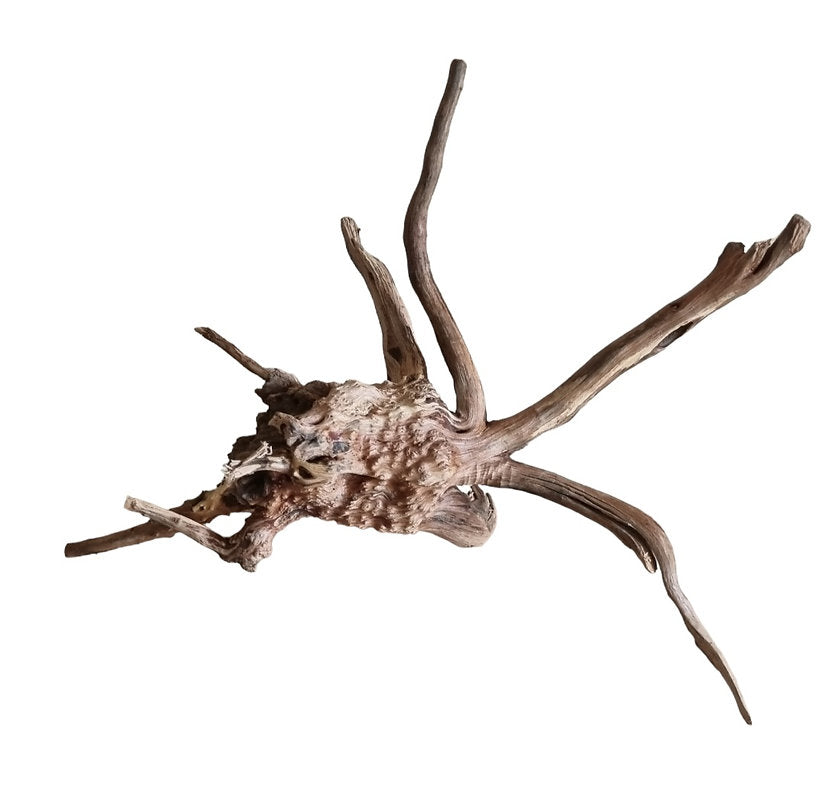 WIO Tree Trunk Wood Wurzel 357