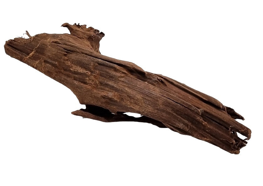 Mangrove Größe M / Nr.76