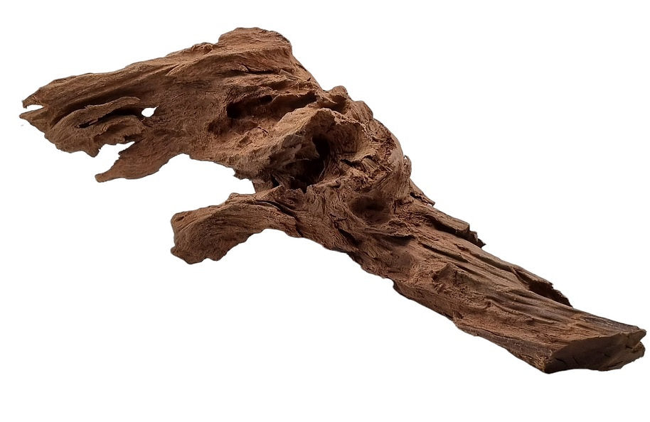 Mangrove Größe L / Nr.94