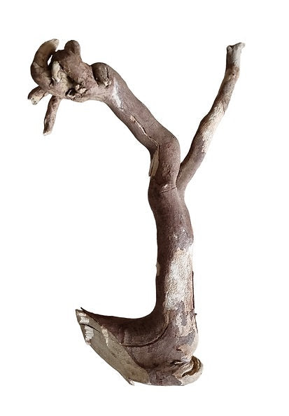 Talawa Wood Nr. 235
