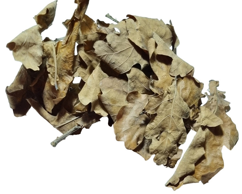 5g getrocknete Eichenblätter für Aquarien.