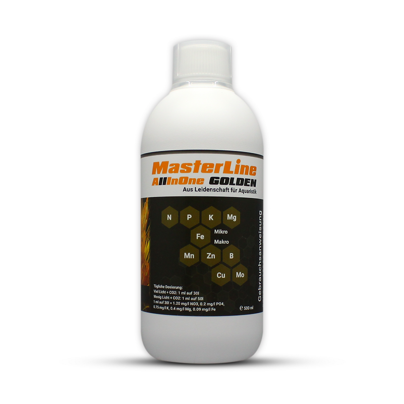 MasterLine AllinOne Golden ab 500ml