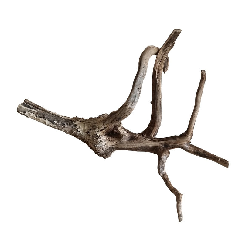 WIO Tree Trunk Wood Wurzel 356