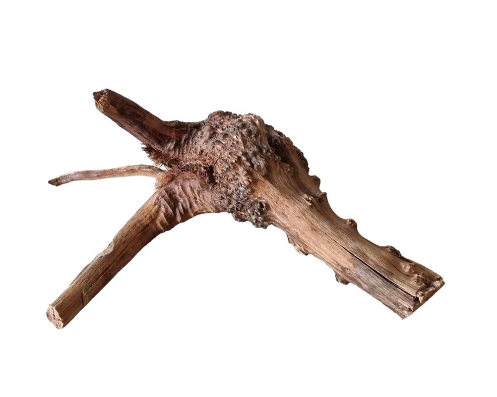 WIO Tree Trunk Wood Wurzel 312