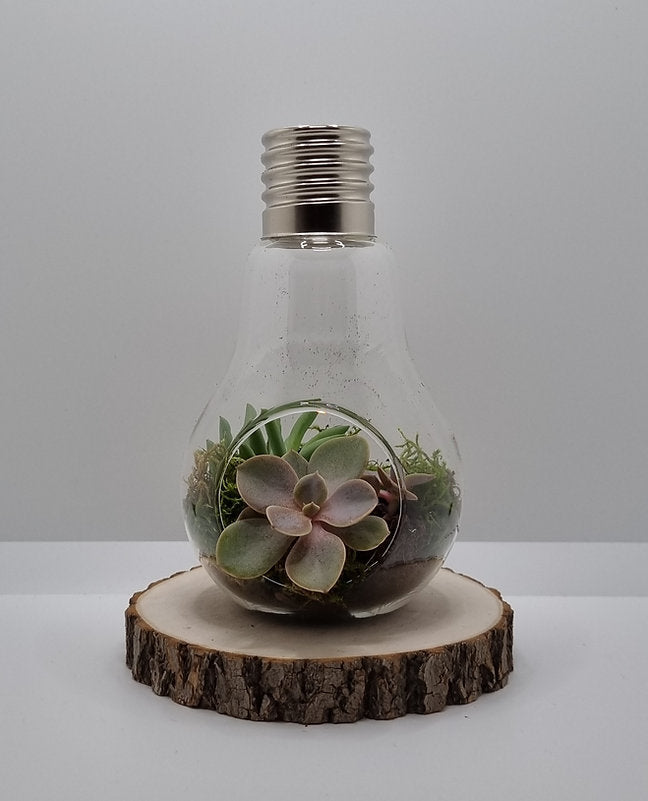 Pflanzenglas / Teelichtglas Glühbirne h. 17cm Ø 10cm