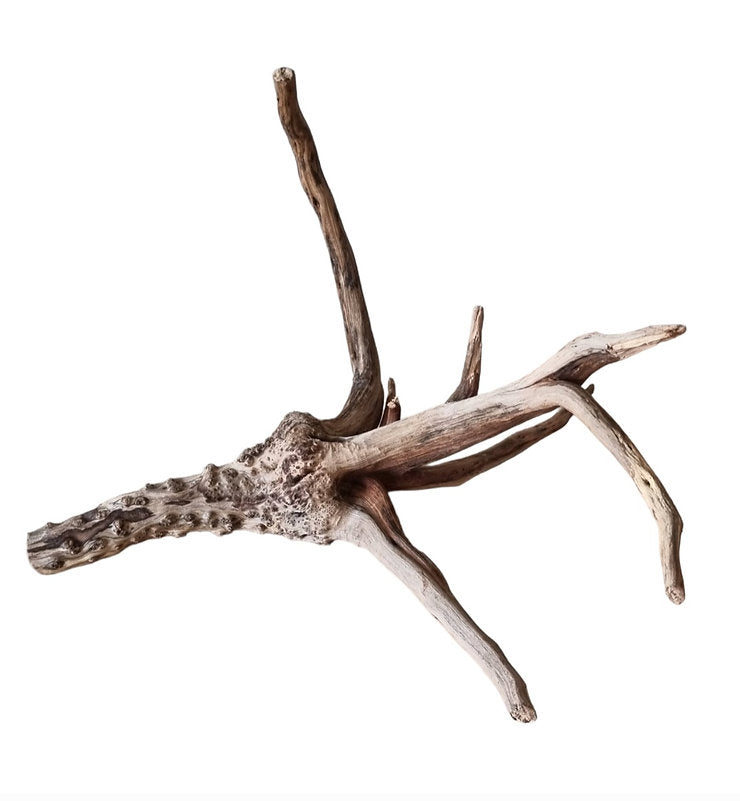 WIO Tree Trunk Wood Wurzel 343