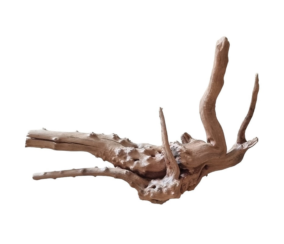 WIO Tree Trunk Wood Wurzel 347