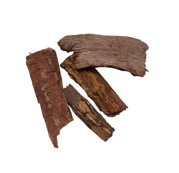 Nahaufnahme von mehreren braunen, getrockneten Seemandelbaumbarkstücken.
