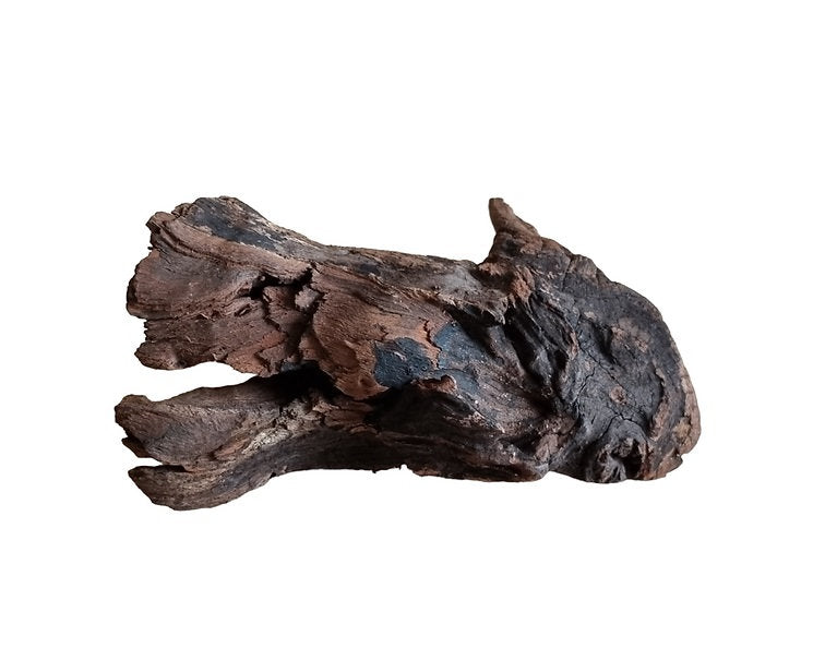 Driftwood / Flusswurzel Nr. 272