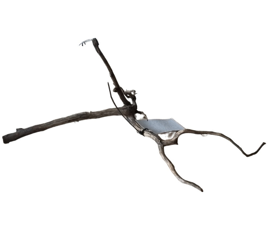 Rasamala Black Scaper Root Nr. 280