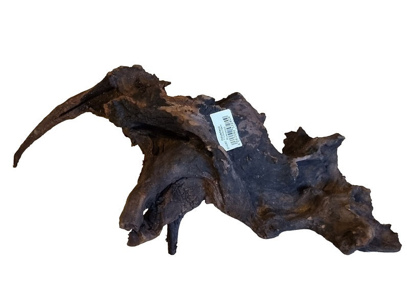 Driftwood / Flusswurzel Nr. 254