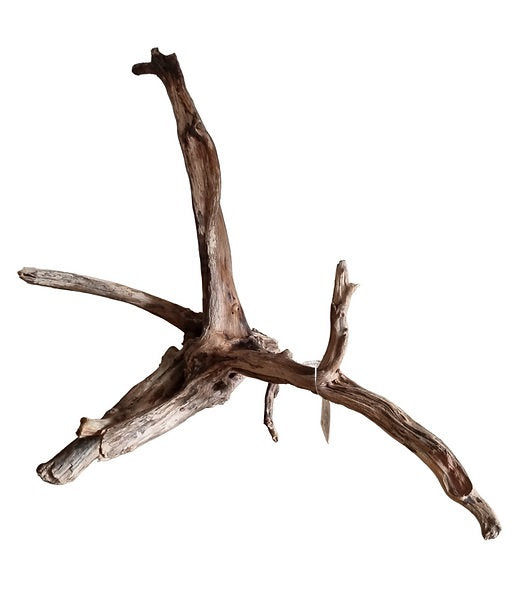 Black Slim Wood Größe L Nr.60