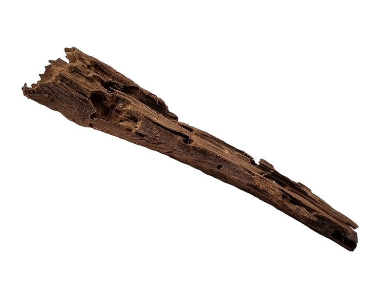 Mangrove Größe M / Nr.72